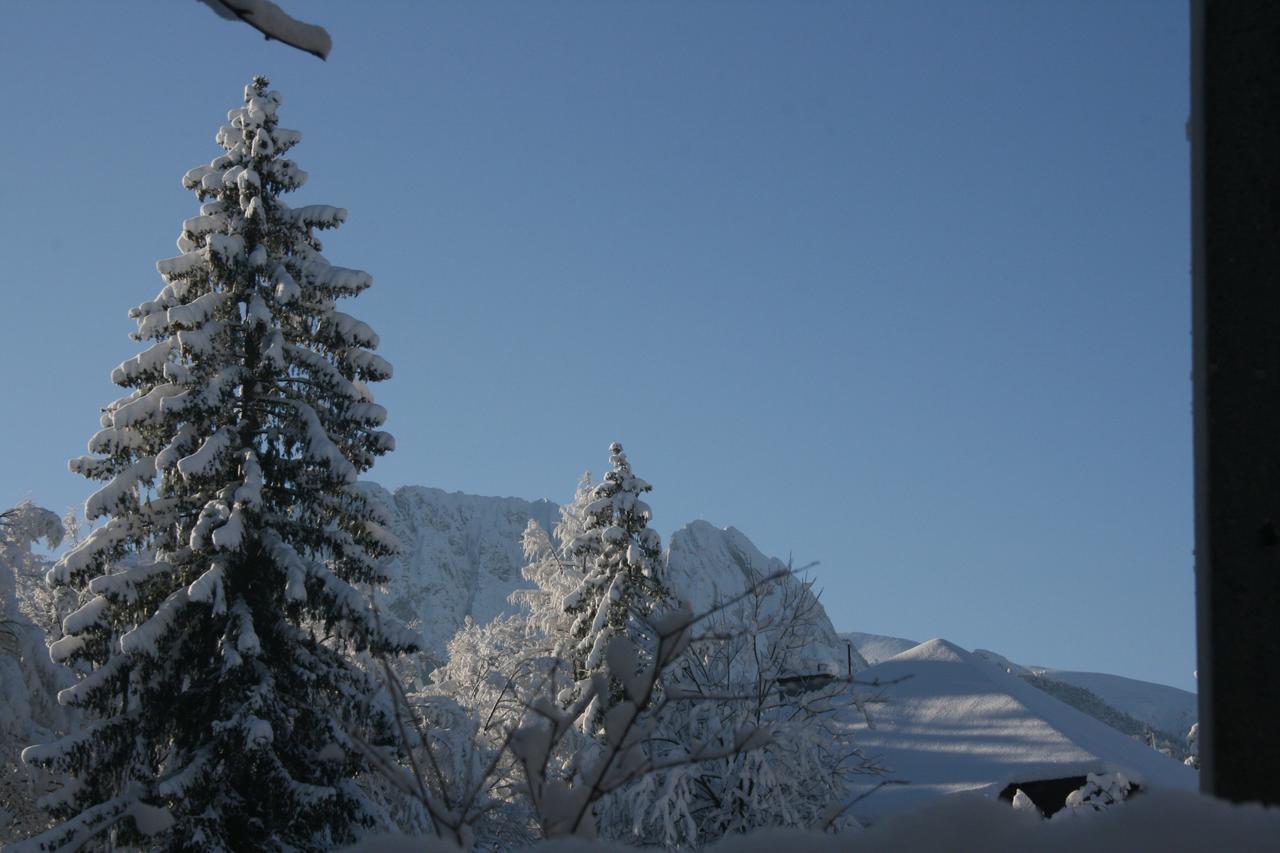 Apartamenty Paradis Zakopane Exterior foto